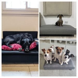 MUEBLES MASCOTAS